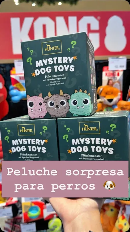 Caixa sorpresa Hunter para cans — MOYDOG - Tienda de Productos para Mascotas