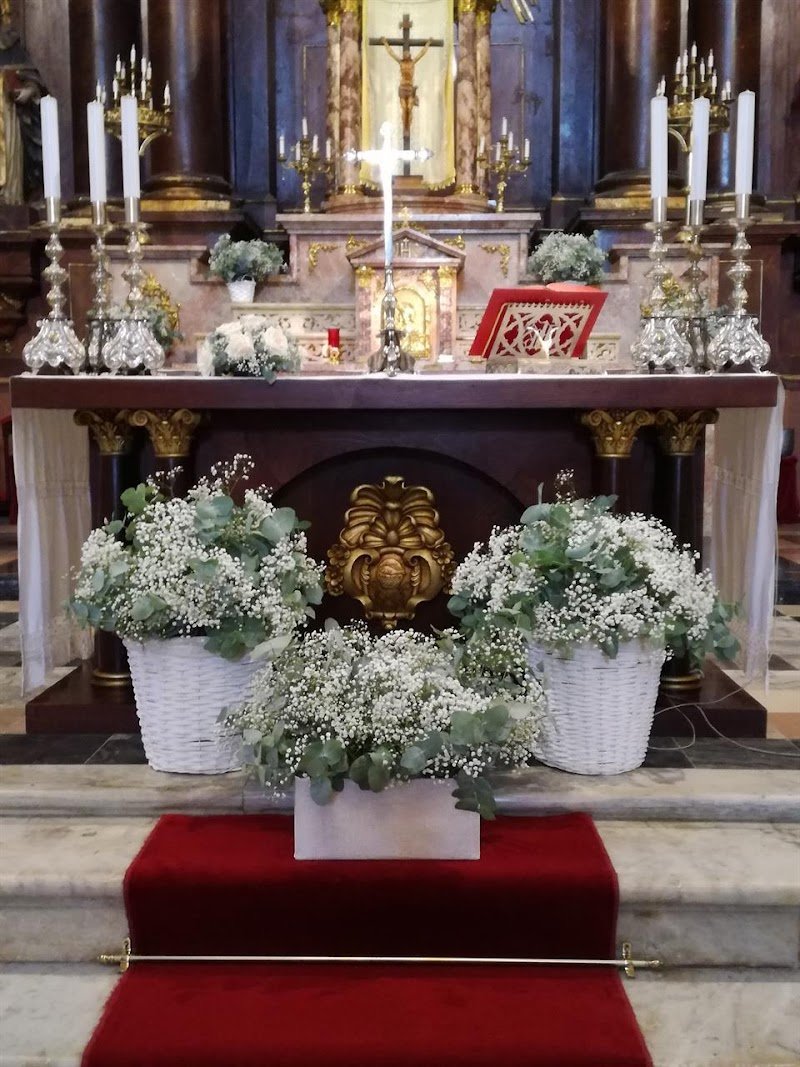 Floristería La Ilusión — imagen 5